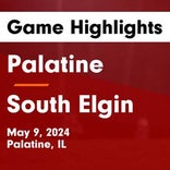 Soccer Game Preview: Palatine Will Face Hersey