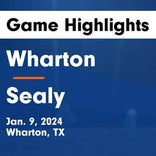 Sealy has no trouble against New Waverly