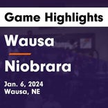 Basketball Game Recap: Wausa Vikings vs. Plainview Pirates