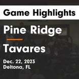 Basketball Game Preview: Tavares Bulldogs vs. Pine Ridge Panthers