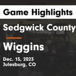 Wiggins vs. Sedgwick County