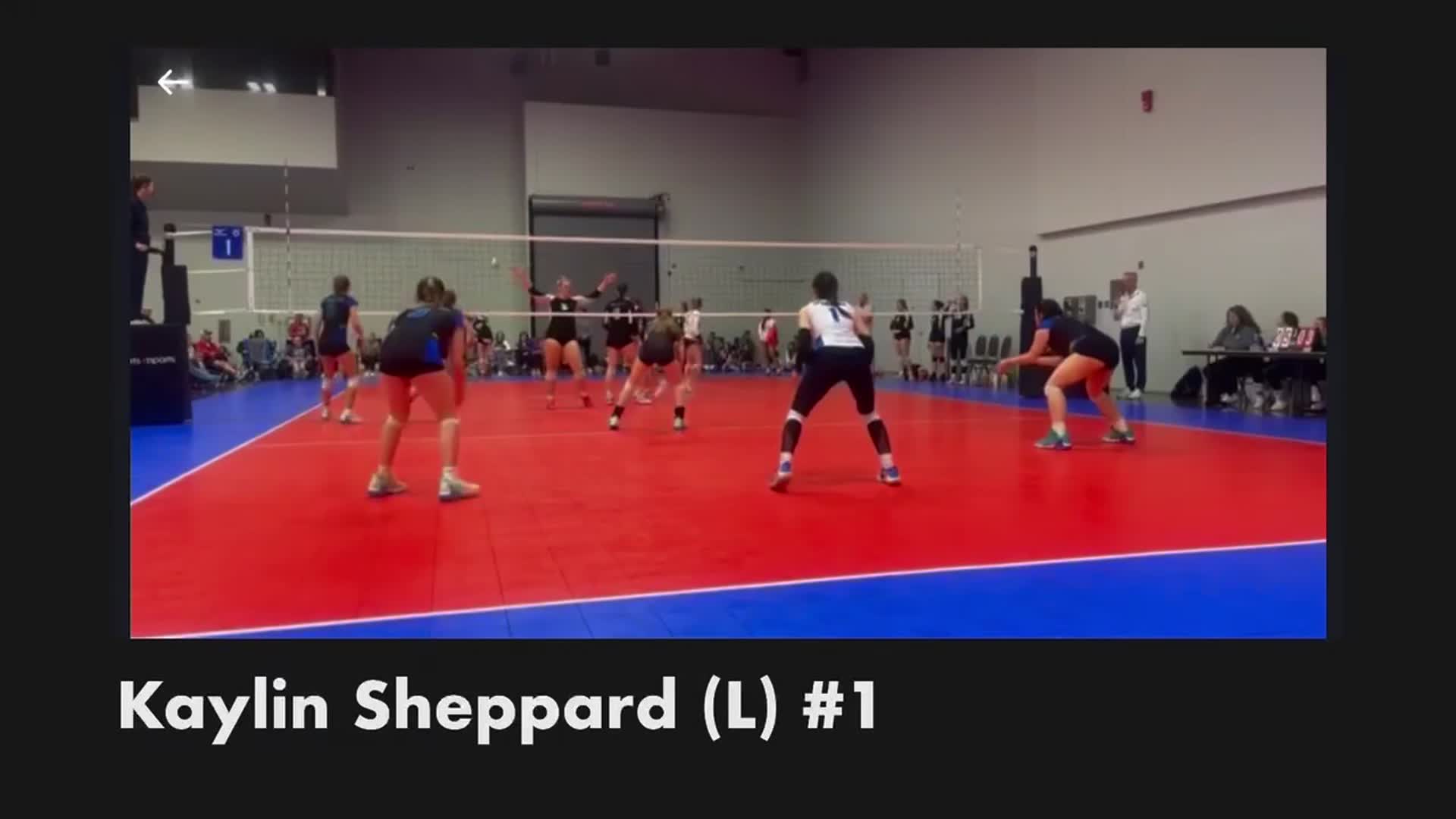 Volleyball Recap: Jackson Wins Going Away Against Washington