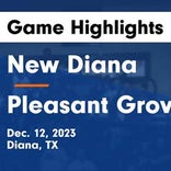 Pleasant Grove wins going away against New Diana