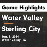 Basketball Game Recap: Sterling City Eagles vs. Christoval Cougars