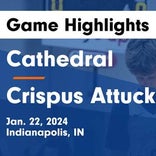 Basketball Game Preview: Cathedral Fighting Irish vs. Ben Davis Giants