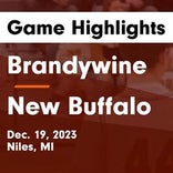 New Buffalo vs. Brandywine