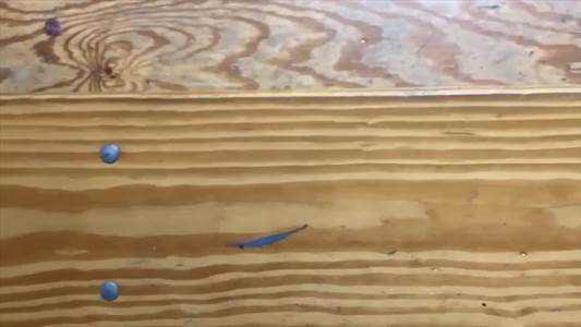 Basketball Game Preview: Southeast Seminoles vs. Palmetto Tigers