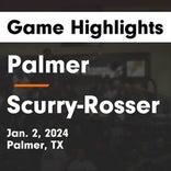 Basketball Game Recap: Palmer Bulldogs vs. Rice Bulldogs