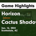 Horizon falls despite strong effort from  Craig Rodgers