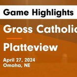 Soccer Game Recap: Platteview Comes Up Short