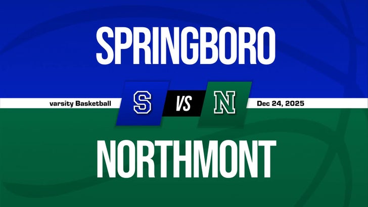 Basketball Game Preview: Springboro Panthers vs. Miamisburg Viki