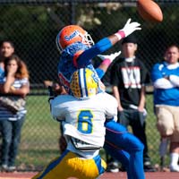 VHSL Football Playoff Brackets