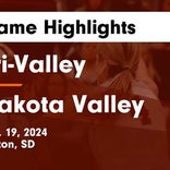 Dakota Valley comes up short despite  Cameryn Sommervold's strong performance