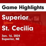 Basketball Game Preview: Superior Wildcats vs. Smith Center Redmen
