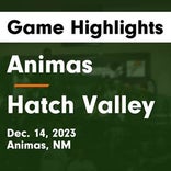 Basketball Game Recap: Animas Panthers vs. Reserve Mountaineers