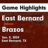 Basketball Game Recap: Brazos Cougars vs. Van Vleck Leopards
