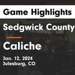 Basketball Game Preview: Sedgwick County Cougars vs. Wiggins Tigers