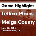 Basketball Game Recap: Tellico Plains Bears vs. McMinn Central Chargers