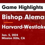 Alemany vs. Chaminade