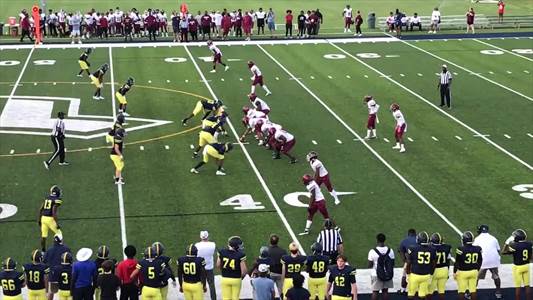 Baseball Recap: Memphis Academy of Science and Engineering triumphant thanks to a strong effort from  Tyrese Young