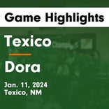 Basketball Game Preview: Dora Coyotes vs. Lake Arthur Panthers
