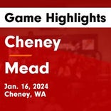Basketball Game Recap: Mead Panthers vs. Ridgeline Falcons