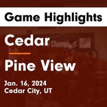 Basketball Game Recap: Pine View Panthers vs. Cedar Reds