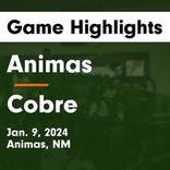 Cobre wins going away against Hatch Valley