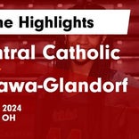 Ottawa-Glandorf vs. Elmwood