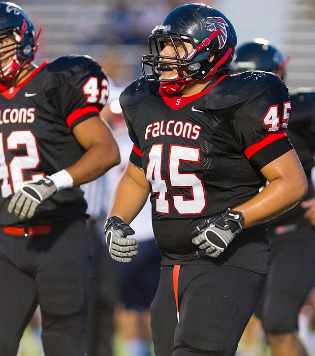 Stevens (San Antonio), Atlanta Falcons