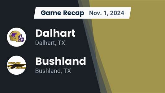 Football Game Preview: Dalhart Wolves vs. Shallowater Mustangs