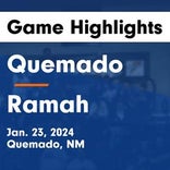 Basketball Game Recap: Quemado Eagles vs. Alamo Navajo Cougars