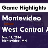 Basketball Game Preview: Montevideo Thunderhawks vs. Minnewaska Area Lakers