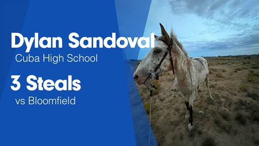 Dylan Sandoval Game Report: vs Cottonwood Classical Prep