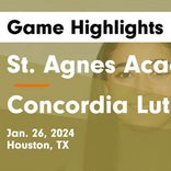 Basketball Game Preview: St. Agnes Academy Tigers vs. Incarnate Word Shamrocks