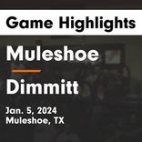 Basketball Game Recap: Dimmitt Bobcats  vs. Denver City Mustangs