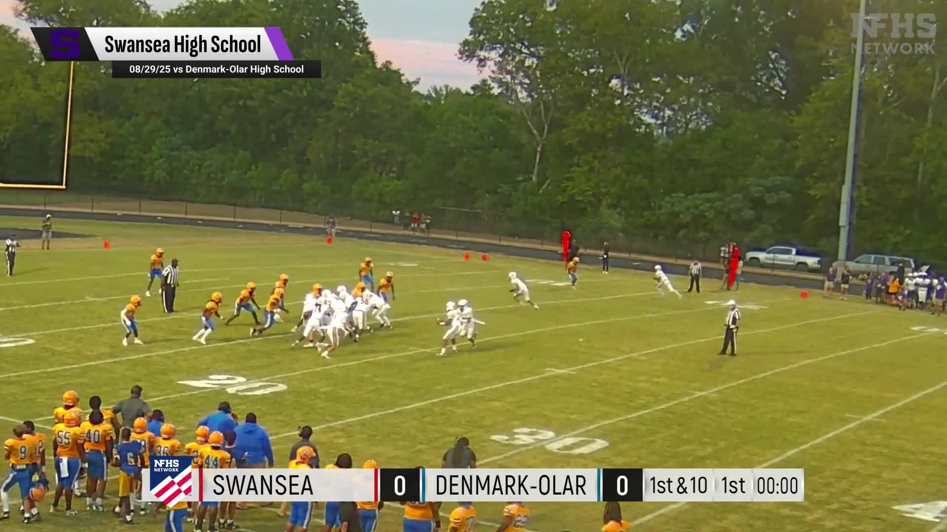 Football Recap: Swansea Takes a Loss