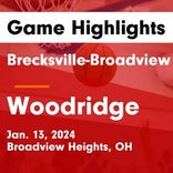 Basketball Game Preview: Brecksville-Broadview Heights Bees vs. Revere Minutemen