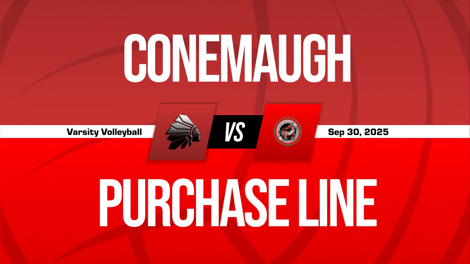 Volleyball Recap: Purchase Line Victorious + How To Watch