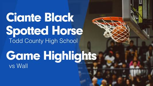 Basketball Game Preview: Todd County Falcons vs. Miller Rustlers