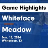 Basketball Game Recap: Meadow Broncos vs. Whitharral Panthers