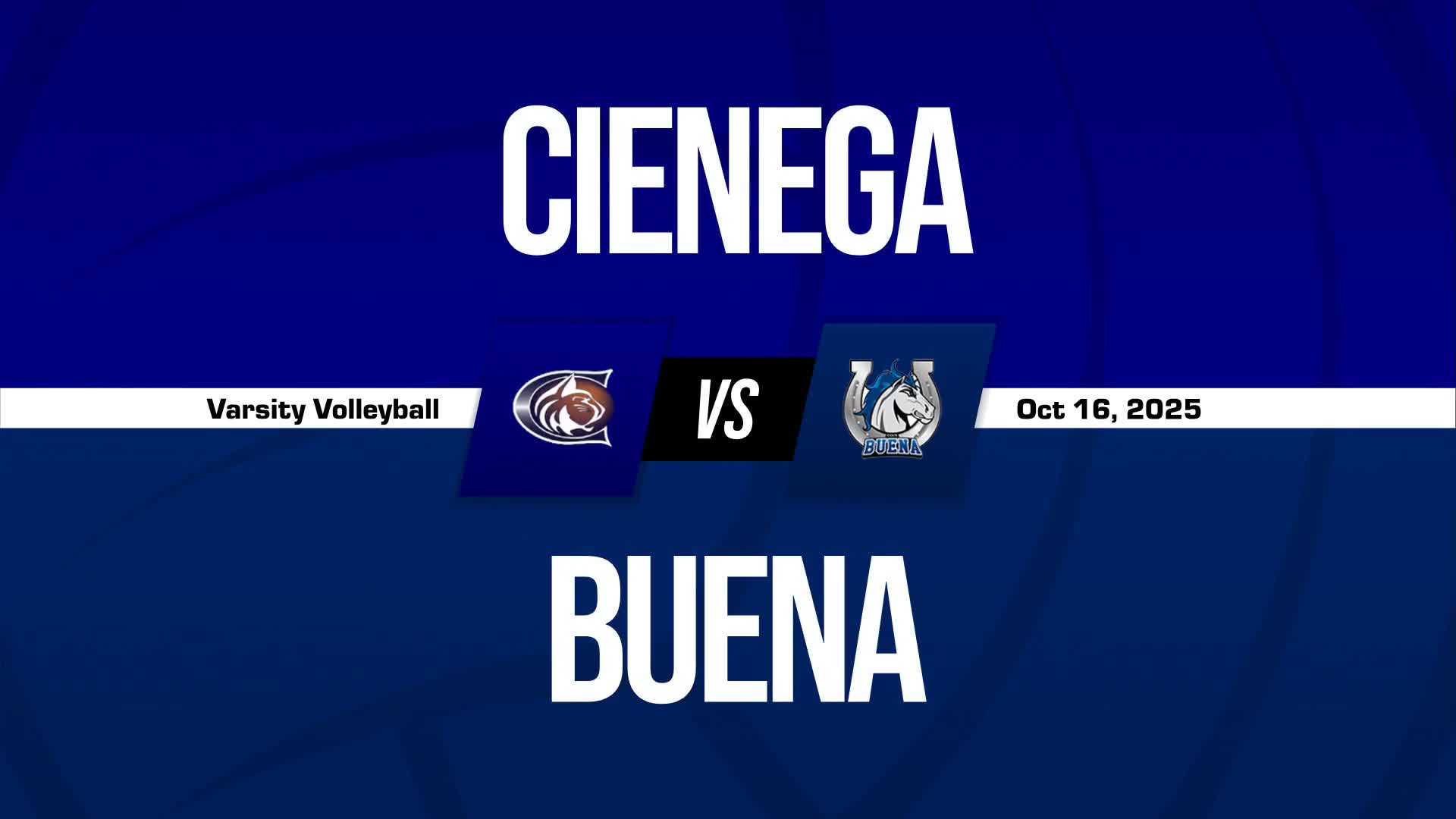 Volleyball Recap: Buena's  Victory  on Tuesday Extends Winning Streak to Three