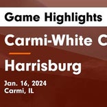 Basketball Game Preview: Carmi-White County Bulldogs vs. Grayville Bison