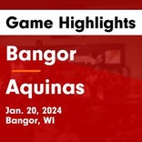 Bangor skates past Necedah with ease