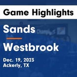 Westbrook vs. Huckabay