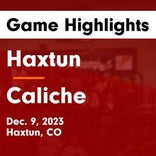 Basketball Recap: Caliche triumphant thanks to a strong effort from  Karsyn Huss