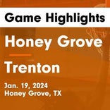 Basketball Game Preview: Honey Grove Warriors vs. Trenton Tigers
