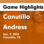 Andress falls despite big games from  Jada Martin-Lewis and  Gianna Gulley
