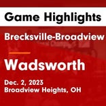 Wadsworth vs. Brecksville-Broadview Heights