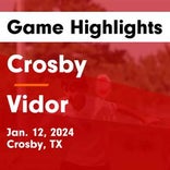 Vidor extends home winning streak to seven